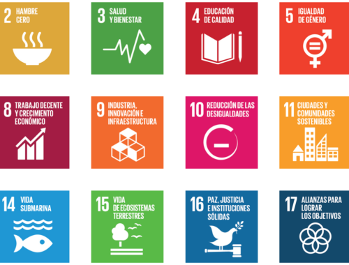 Los objetivos de desarrollo sostenible de la Agenda 2030