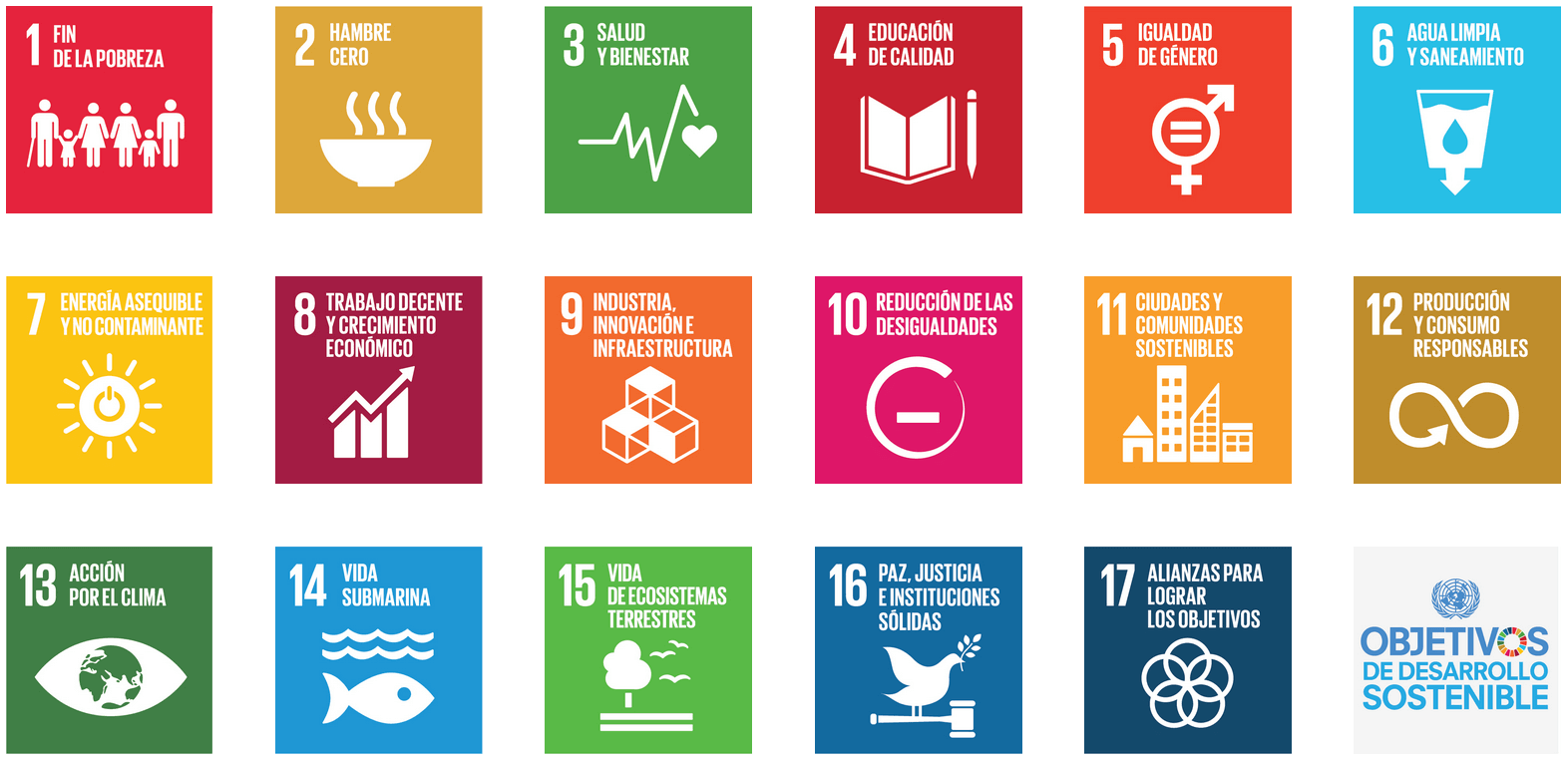Los objetivos de desarrollo sostenible de la Agenda 2030
