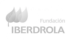 fundacion-iter-integracion-social-jovenes-fundacion-iberdrola-logo